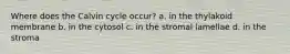 Where does the Calvin cycle occur? a. in the thylakoid membrane b. in the cytosol c. in the stromal lamellae d. in the stroma