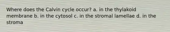 Where does the Calvin cycle occur? a. in the thylakoid membrane b. in the cytosol c. in the stromal lamellae d. in the stroma