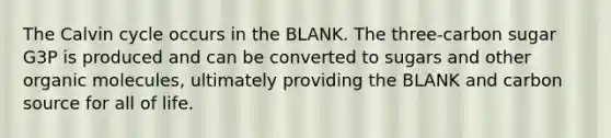 The Calvin cycle occurs in the BLANK. The three-carbon sugar G3P is produced and can be converted to sugars and other organic molecules, ultimately providing the BLANK and carbon source for all of life.