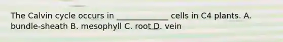 The Calvin cycle occurs in _____________ cells in C4 plants. A. bundle-sheath B. mesophyll C. root D. vein