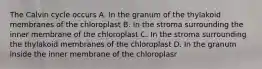 The Calvin cycle occurs A. In the granum of the thylakoid membranes of the chloroplast B. In the stroma surrounding the inner membrane of the chloroplast C. In the stroma surrounding the thylakoid membranes of the chloroplast D. In the granum inside the inner membrane of the chloroplasr