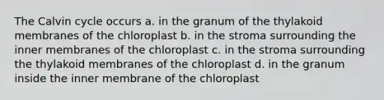 The Calvin cycle occurs a. in the granum of the thylakoid membranes of the chloroplast b. in the stroma surrounding the inner membranes of the chloroplast c. in the stroma surrounding the thylakoid membranes of the chloroplast d. in the granum inside the inner membrane of the chloroplast