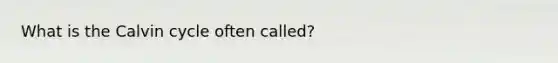 What is the Calvin cycle often called?
