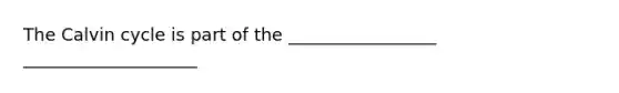 The Calvin cycle is part of the _________________ ____________________