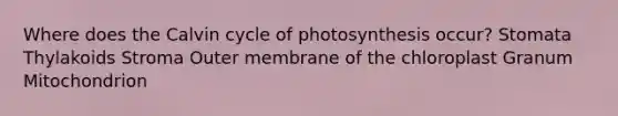 Where does the Calvin cycle of photosynthesis occur? Stomata Thylakoids Stroma Outer membrane of the chloroplast Granum Mitochondrion