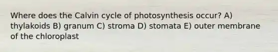 Where does the Calvin cycle of photosynthesis occur? A) thylakoids B) granum C) stroma D) stomata E) outer membrane of the chloroplast