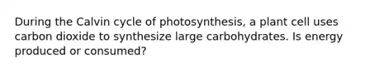 During the Calvin cycle of photosynthesis, a plant cell uses carbon dioxide to synthesize large carbohydrates. Is energy produced or consumed?