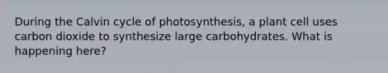 During the Calvin cycle of photosynthesis, a plant cell uses carbon dioxide to synthesize large carbohydrates. What is happening here?