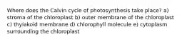 Where does the Calvin cycle of photosynthesis take place? a) stroma of the chloroplast b) outer membrane of the chloroplast c) thylakoid membrane d) chlorophyll molecule e) cytoplasm surrounding the chloroplast