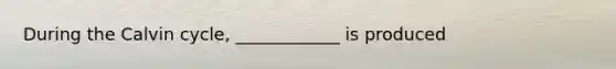 During the Calvin cycle, ____________ is produced