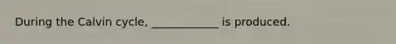 During the Calvin cycle, ____________ is produced.
