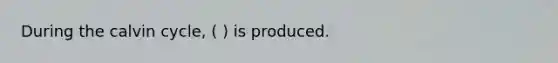 During the calvin cycle, ( ) is produced.