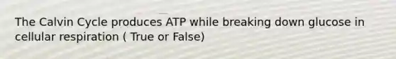 The Calvin Cycle produces ATP while breaking down glucose in cellular respiration ( True or False)