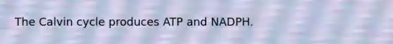 The Calvin cycle produces ATP and NADPH.