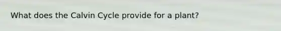 What does the Calvin Cycle provide for a plant?