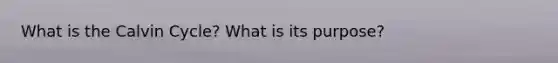 What is the Calvin Cycle? What is its purpose?