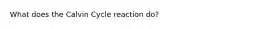 What does the Calvin Cycle reaction do?