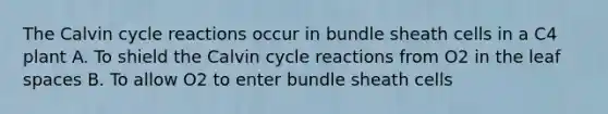 The Calvin cycle reactions occur in bundle sheath cells in a C4 plant A. To shield the Calvin cycle reactions from O2 in the leaf spaces B. To allow O2 to enter bundle sheath cells