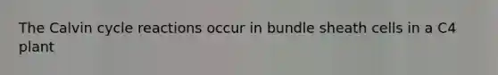 The Calvin cycle reactions occur in bundle sheath cells in a C4 plant