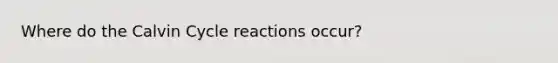 Where do the Calvin Cycle reactions occur?