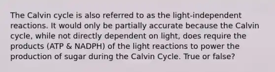 The Calvin cycle is also referred to as the light-independent reactions. It would only be partially accurate because the Calvin cycle, while not directly dependent on light, does require the products (ATP & NADPH) of the light reactions to power the production of sugar during the Calvin Cycle. True or false?