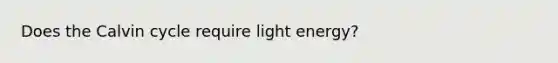 Does the Calvin cycle require light energy?