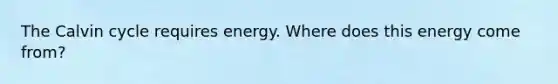 The Calvin cycle requires energy. Where does this energy come from?