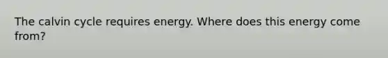 The calvin cycle requires energy. Where does this energy come from?