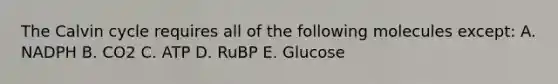 The Calvin cycle requires all of the following molecules except: A. NADPH B. CO2 C. ATP D. RuBP E. Glucose