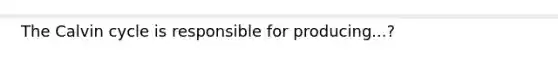 The Calvin cycle is responsible for producing...?