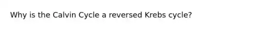 Why is the Calvin Cycle a reversed Krebs cycle?