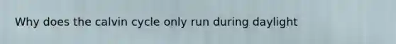 Why does the calvin cycle only run during daylight