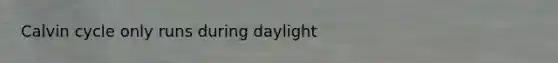 Calvin cycle only runs during daylight