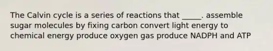 The Calvin cycle is a series of reactions that _____. assemble sugar molecules by fixing carbon convert light energy to chemical energy produce oxygen gas produce NADPH and ATP