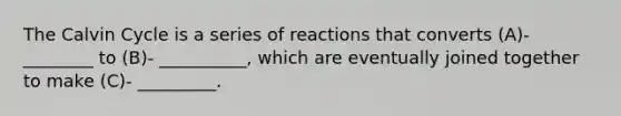 The Calvin Cycle is a series of reactions that converts (A)- ________ to (B)- __________, which are eventually joined together to make (C)- _________.