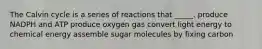 The Calvin cycle is a series of reactions that _____. produce NADPH and ATP produce oxygen gas convert light energy to chemical energy assemble sugar molecules by fixing carbon