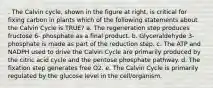 . The Calvin cycle, shown in the figure at right, is critical for fixing carbon in plants which of the following statements about the Calvin Cycle is TRUE? a. The regeneration step produces fructose 6- phosphate as a final product. b. Glyceraldehyde 3- phosphate is made as part of the reduction step. c. The ATP and NADPH used to drive the Calvin Cycle are primarily produced by the citric acid cycle and the pentose phosphate pathway. d. The fixation step generates free O2. e. The Calvin Cycle is primarily regulated by the glucose level in the cell/organism.