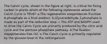 The Calvin cycle, shown in the figure at right, is critical for fixing carbon in plants which of the following statements about the Calvin Cycle is TRUE? a.The regeneration stepproduces fructose 6-phosphate as a final product. b.Glyceraldehyde 3-phosphate is made as part of the reduction step. c.The ATP and NADPH used to drive the Calvin Cycle are primarily produced by the citric acid cycle and the pentose phosphate pathway. d.The fixation stepgenerates free O2. e.The Calvin Cycle is primarily regulated by the glucose level in the cell/organism.