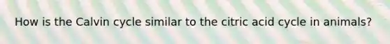 How is the Calvin cycle similar to the citric acid cycle in animals?