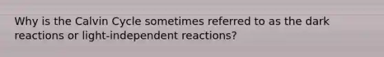 Why is the Calvin Cycle sometimes referred to as the dark reactions or light-independent reactions?