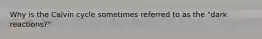 Why is the Calvin cycle sometimes referred to as the "dark reactions?"