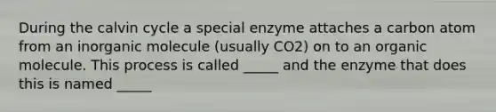 During the calvin cycle a special enzyme attaches a carbon atom from an inorganic molecule (usually CO2) on to an organic molecule. This process is called _____ and the enzyme that does this is named _____