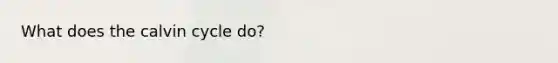 What does the calvin cycle do?