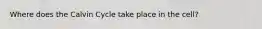 Where does the Calvin Cycle take place in the cell?