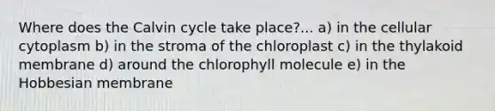 Where does the Calvin cycle take place?... a) in the cellular cytoplasm b) in the stroma of the chloroplast c) in the thylakoid membrane d) around the chlorophyll molecule e) in the Hobbesian membrane