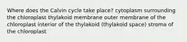 Where does the Calvin cycle take place? cytoplasm surrounding the chloroplast thylakoid membrane outer membrane of the chloroplast interior of the thylakoid (thylakoid space) stroma of the chloroplast