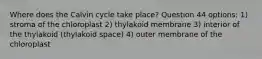 Where does the Calvin cycle take place? Question 44 options: 1) stroma of the chloroplast 2) thylakoid membrane 3) interior of the thylakoid (thylakoid space) 4) outer membrane of the chloroplast