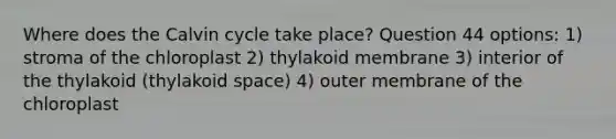 Where does the Calvin cycle take place? Question 44 options: 1) stroma of the chloroplast 2) thylakoid membrane 3) interior of the thylakoid (thylakoid space) 4) outer membrane of the chloroplast