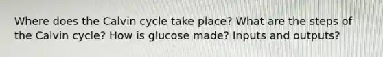 Where does the Calvin cycle take place? What are the steps of the Calvin cycle? How is glucose made? Inputs and outputs?