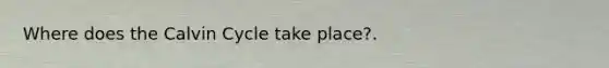 Where does the Calvin Cycle take place?.